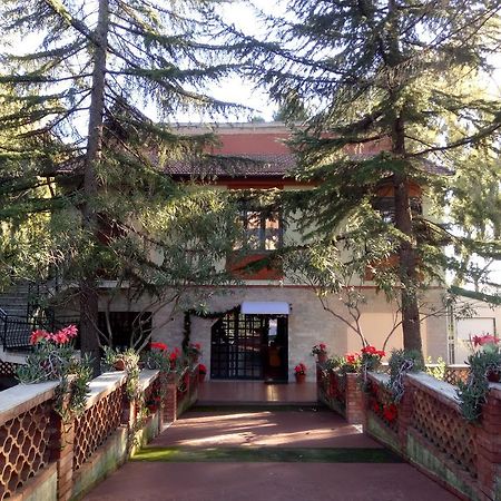 Villa Morgante B&B Pedara Extérieur photo