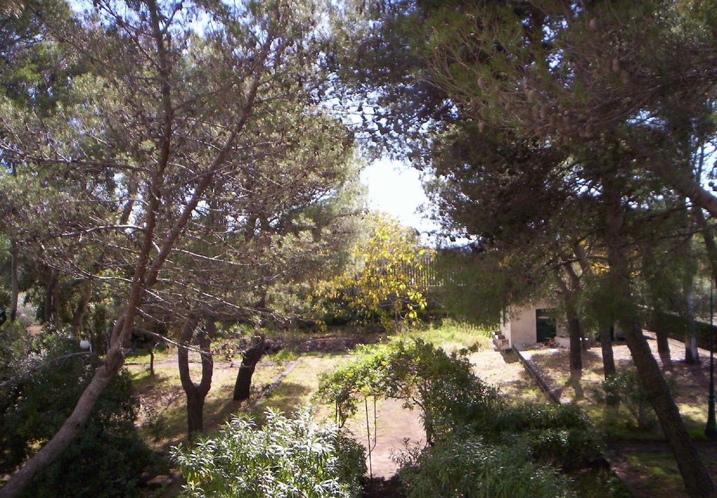 Villa Morgante B&B Pedara Extérieur photo