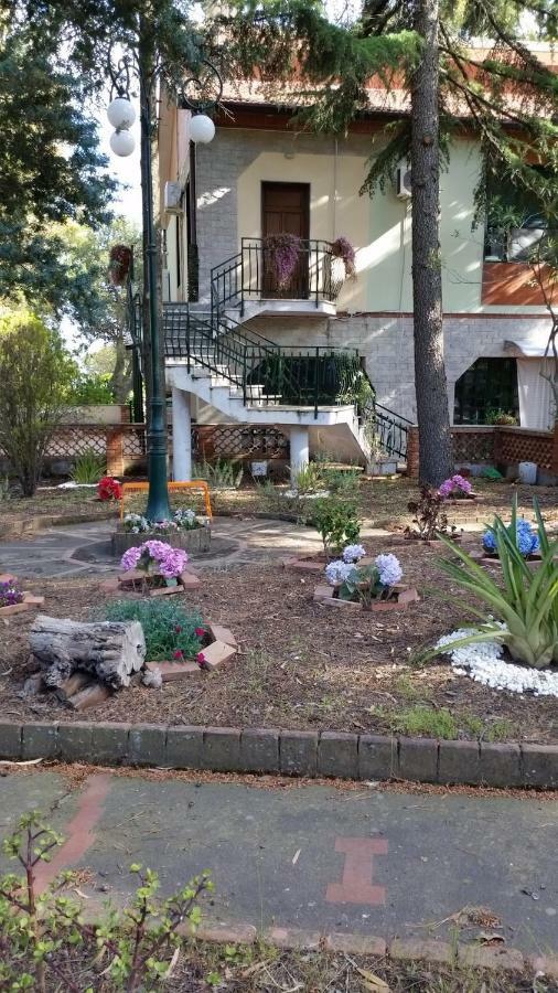 Villa Morgante B&B Pedara Extérieur photo