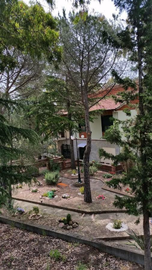 Villa Morgante B&B Pedara Extérieur photo